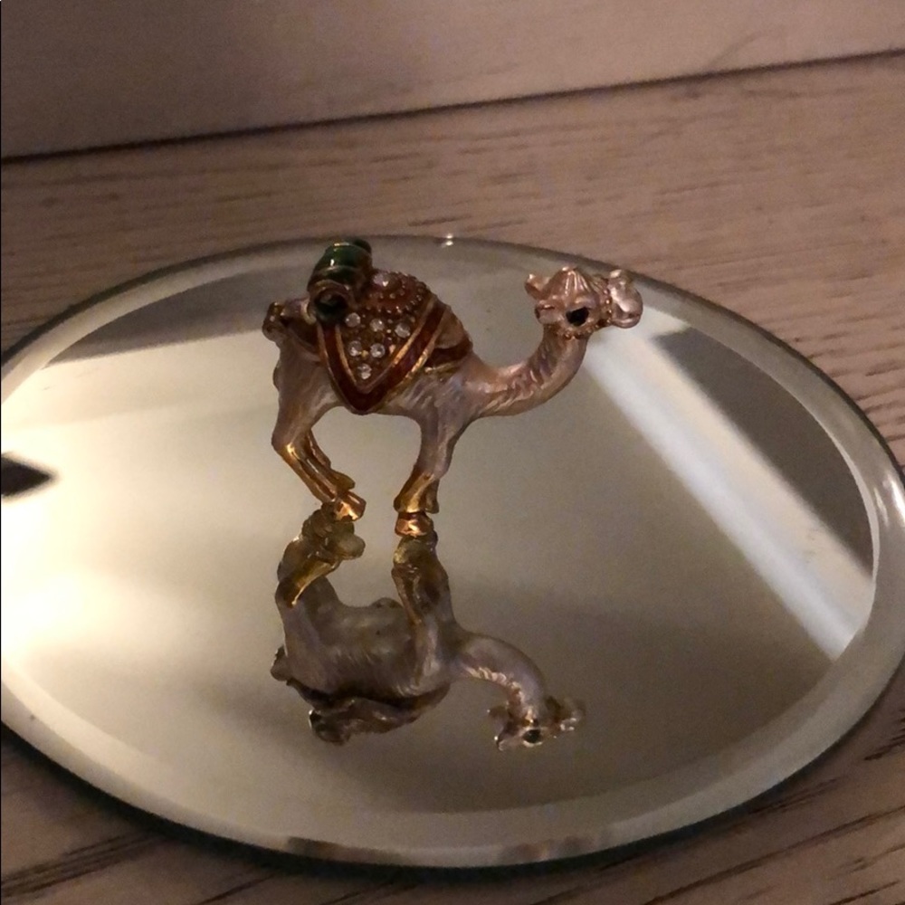 Hidden jewelry box camel